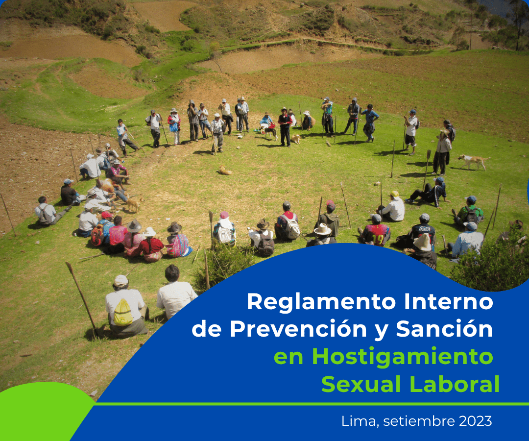 Reglamento Interno de Prevención y Sanción en Hostigamiento Sexual Laboral